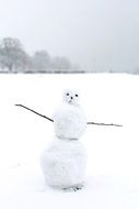 snow man in the meadow