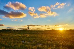 beautiful Sunset in Australia Landscape