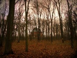 fascinating Church in the Park