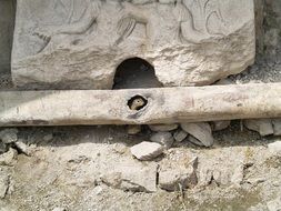small animal looking from hole in ancient stone