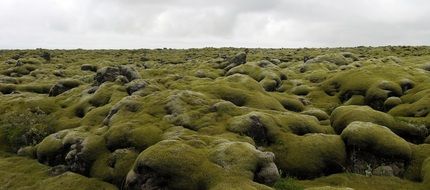 unusual nature of iceland