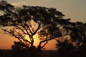 orange sunset over a plain in Africa