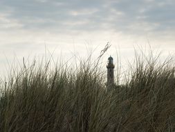 Dune Beachand a lighthouse on the Baltic sea