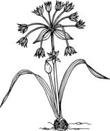 graphic image of a flower with two leaves