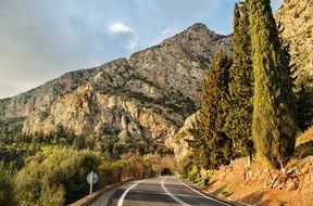 mountain road with green trees