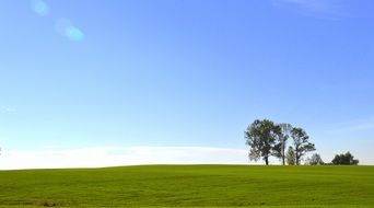 Landscape with the field in a village