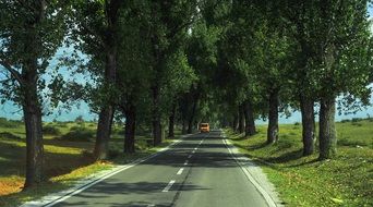 orange car rides on an asphalt road along a nature park