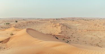 Dune Emirates