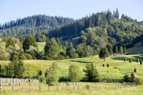 Beautiful green mountain landscape