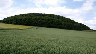 Bausenberg, green hill on field at summer, germany