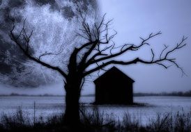 mystical landscape at dusk