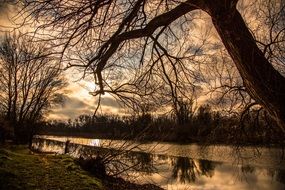 river in the evening forest