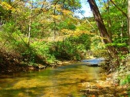West Virginia River