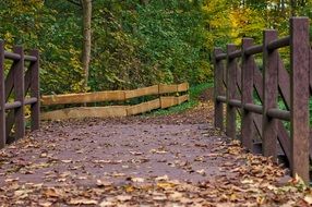 autumn foliage on a wooden bridge