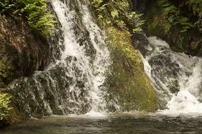 Waterfall Green Foam