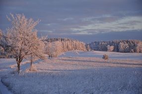 wonderful Winter Warmia Landscape