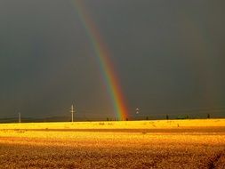 Rainbow on a thunderstormy sky over the yellow field
