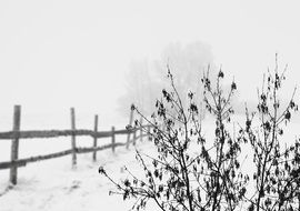 picturesque Cold Landscape