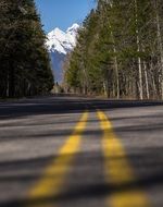 markings on the road to the mountains