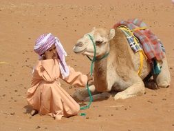 camel-driver Bedouin and Camel in Desert scene
