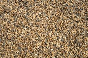 Rocks on a ground