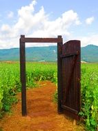 Door in field