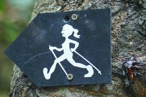Index hiking on a tree
