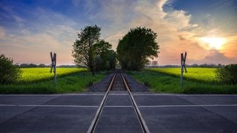 railway crossing against the background of a rape field