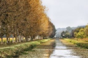 Landscape of autumn nature