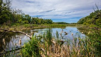 Nature View Landscape