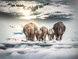 Elephant Clouds Sun drawing