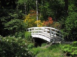 white foot bridge in a picturesque park on a sunny day