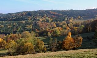 panorama of the autumn forest in the national park in poland