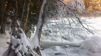 frozen River in snowy forest