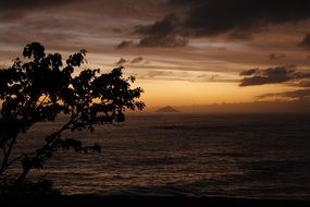 picturesque Beach Landscape