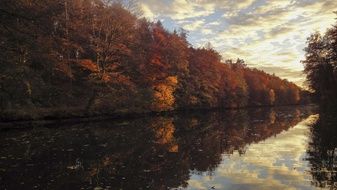 Colorful Golden Autumn