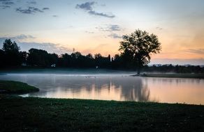 tree reflected in water at sunset