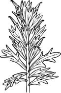 black and white graphic image of a wild plant