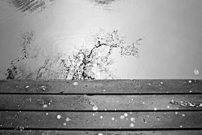 mirror water near a wooden pier in black and white image