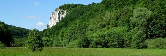 stunningly beautiful Tree Rock