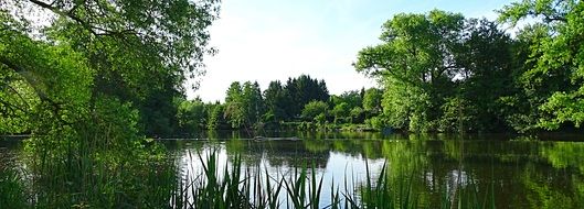 river with green bushes and trees on the banks