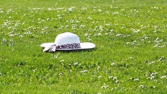 white hat on a flower green meadow