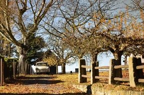 Landscape of trabant car in a autumnal forest