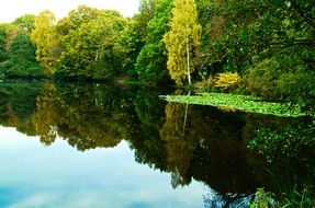 autumn Trees and sky reflecting on still water