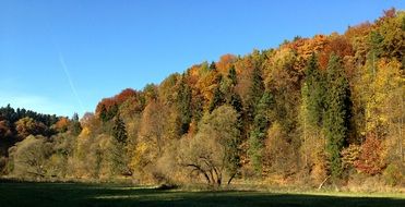 the founding fathers landscape in Poland