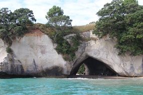 picturesque coast of new zealand