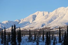 incredibly beautiful Alaska