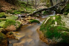 Landscape of frozen water stream in a forest