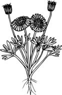 graphic image of a flower bush with buds