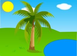 Lake and Palm Tree colourful vector drawing